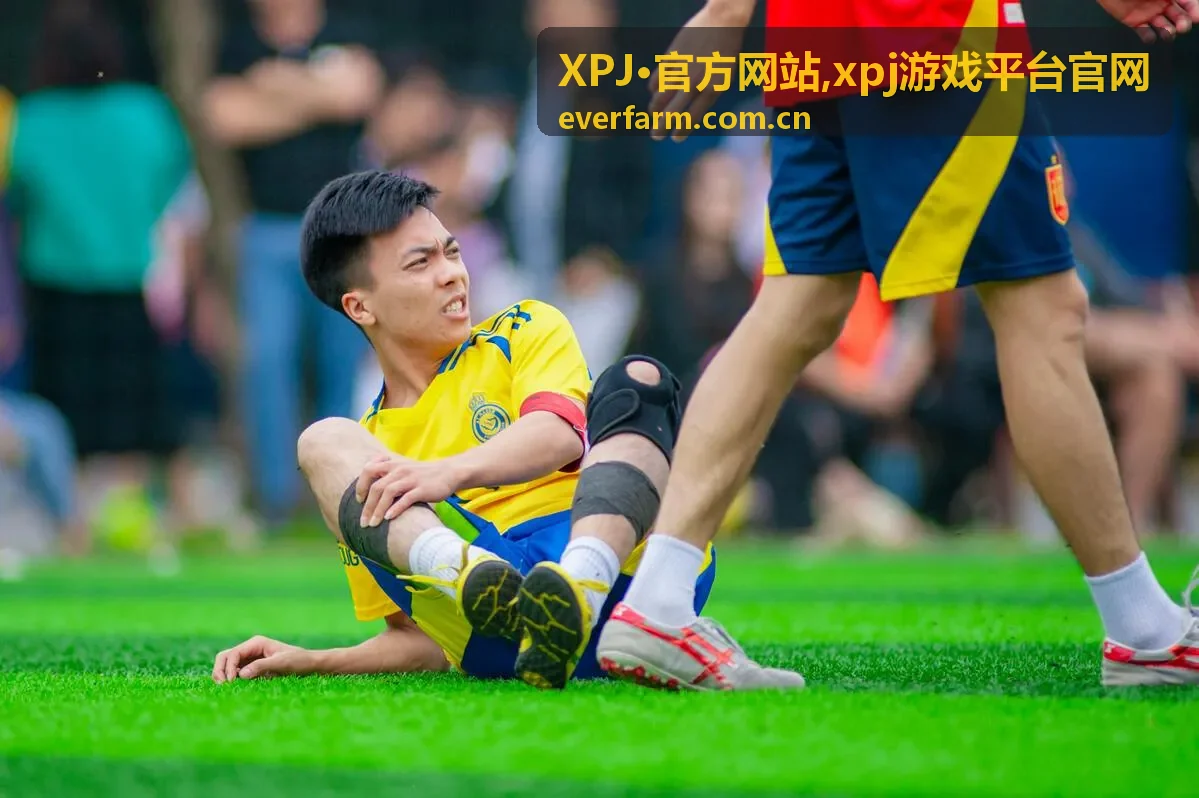 XPJ·官方网站平台说明封面